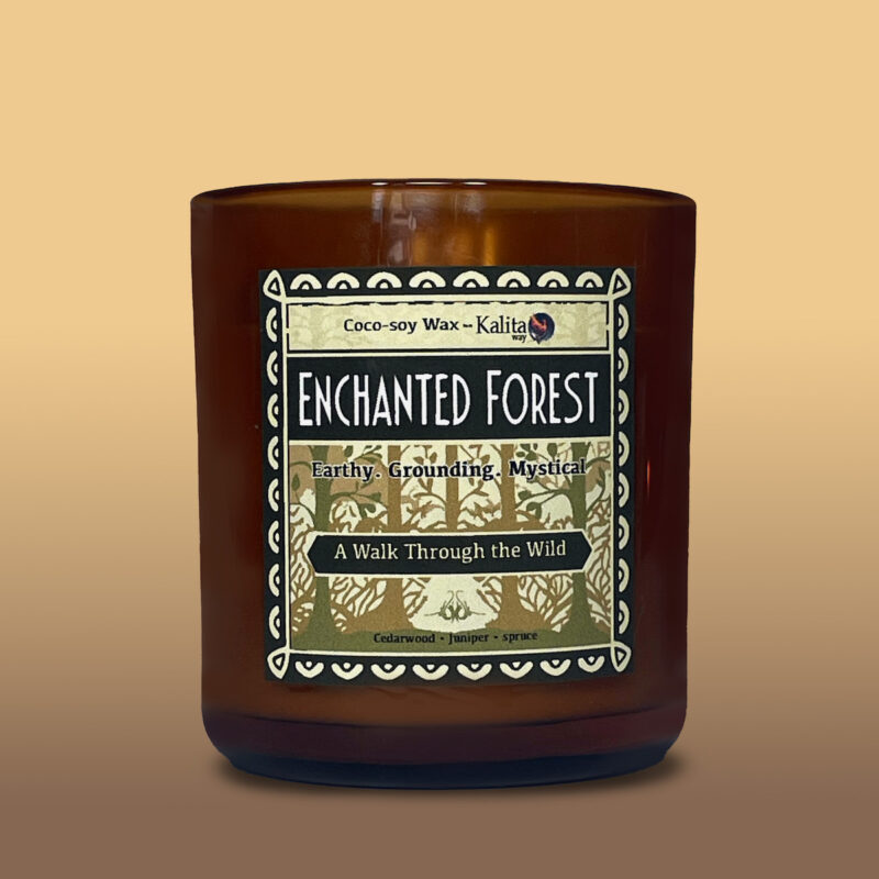 Enchanted Forest – A Walk Through the Wild